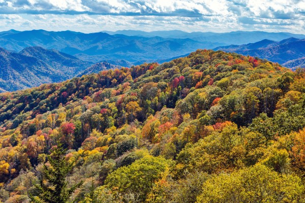 Mountaintop Colors by JMcCool